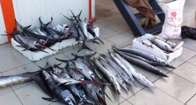 Sahil Güvenlik Yasa Dışı Avcılık Yapanlara Göz Açtırmıyor