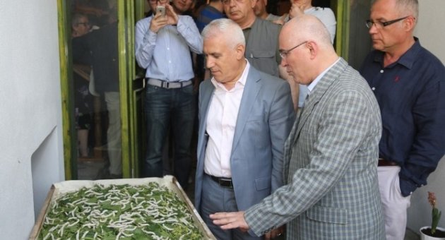 Sanatçı Yağlıdere’den ‘ipekböceğinin Öyküsü’