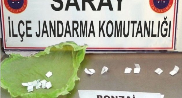 Saray’da Jandarmadan Uyuşturucu Operasyonu