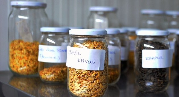 Seferihisar Belediyesi 3 Bin Paket Tohum Dağıtacak