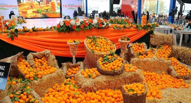 Seferihisar’da ’turuncu’ Festival