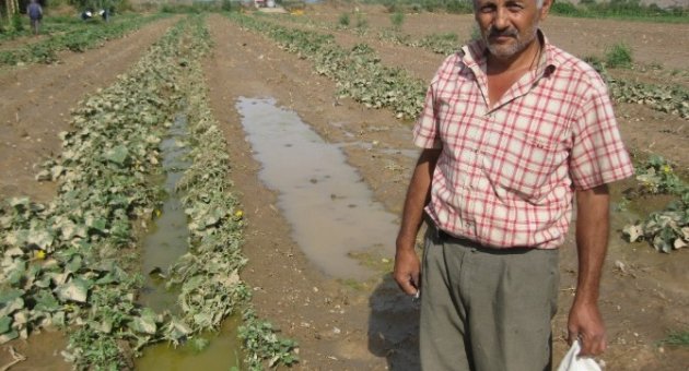 Sel Felaketinin Vurduğu İzmir’de Yaralar Sarılıyor