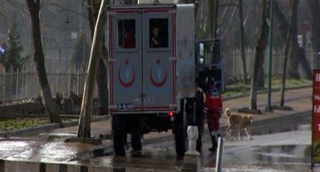 Sel Sularına Atlayan Genç Adam Köpeklere Yem Olmaktan Son Anda Kurtarıldı