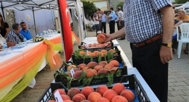 Selçuk’ta Şeftali Festivali Buruk Geçti
