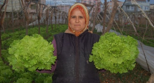 Seracıları Fırtına Vurdu