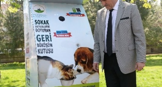 Sıcak Yaz Günlerinde Hayvanlar Unutulmadı