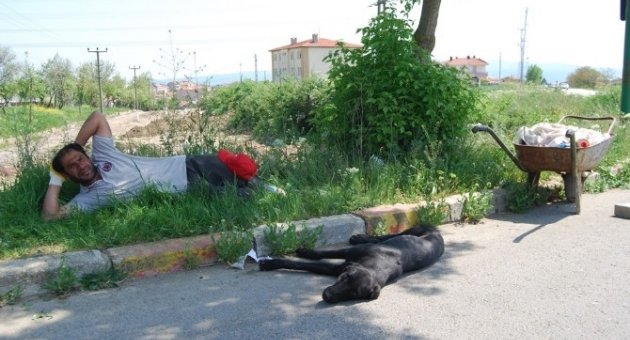 Sıcaktan Bunaldı Köpeğiyle Birlikte Yol Kenarına Yattı