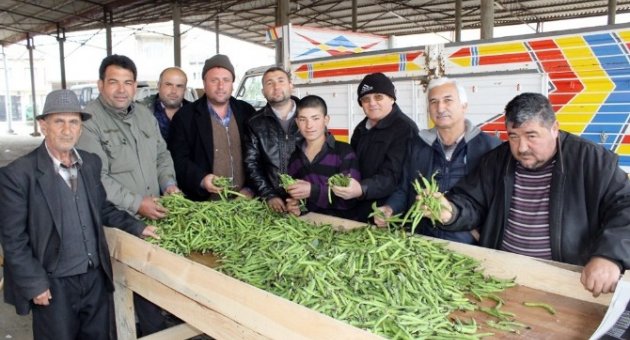 Şiddetli Soğuklar Bakla Ve Bezelye Verimini Düşürdü