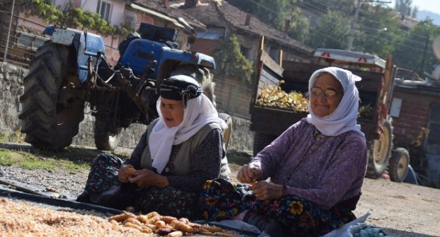 Sındırgı’da Sofralarda Kış Hazırlığı