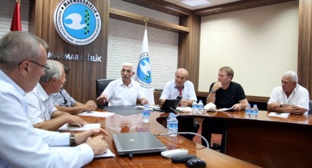 Sofralık Zeytin İçin Güç Birliği