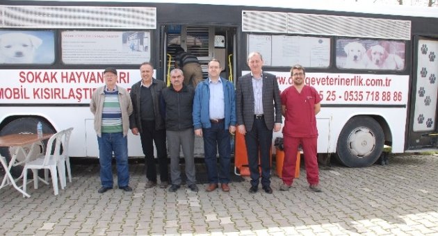 Sokak Hayvanları Kısırlaştırıldı