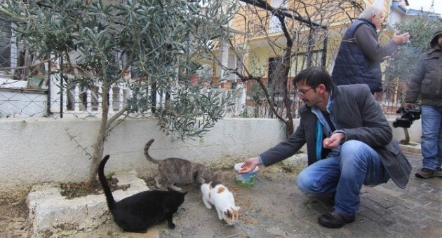 Sokak Hayvanlarına Mama Desteği
