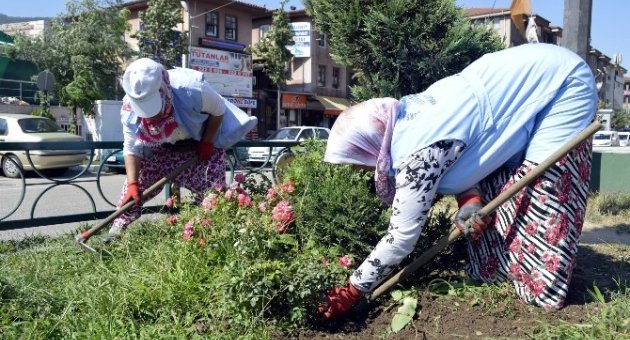 Sonbahar Çiçekleri Ekilen Refüjler Kenelere Karşı İlaçlanıyor