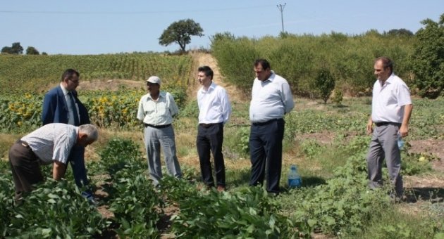 Soya Üretimini Arttırmak İçin Harekete Geçtiler