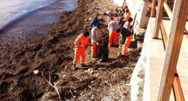 Süleymanpaşa Belediyesi Lodostan Oluşan Kirliliği Temizlemeye Devam Ediyor