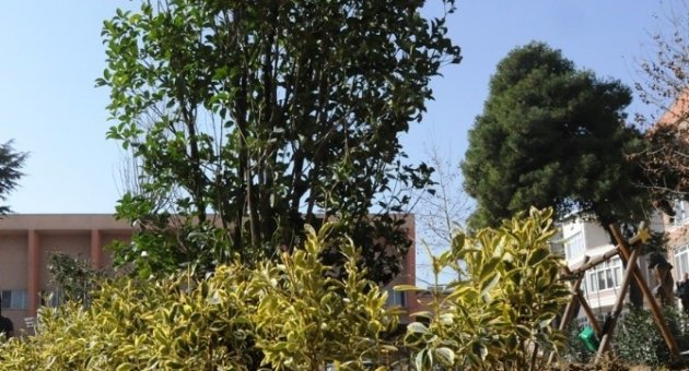 Süleymanpaşa’da Parklar Her Dönem Yeşil Kalacak