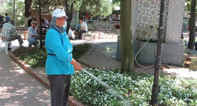 Süleymanpaşa’yı Kadınlar Güzelleştiriyor