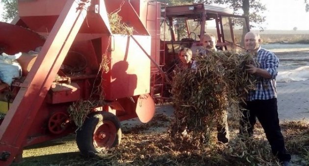 Sulu Tarım Üreticilerin Yüzünü Güldürdü