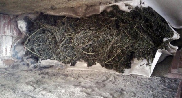 Şüpheli Şahsın Evinden Beş Kilo Esrar Çıktı