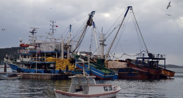Suriyeli 22 Mülteciyi Ölümden Balıkçılar Kurtardı