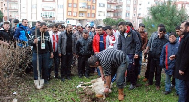 Taraftarlardan Tadilatı Tamamlanan Stada Kurban