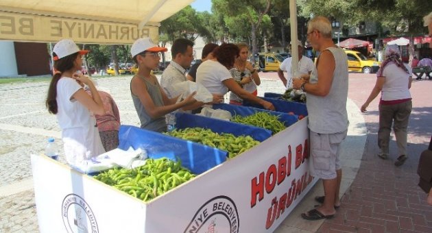 Tarım Kampı Ürünleri Öğrenciler Tarafından Satılıyor