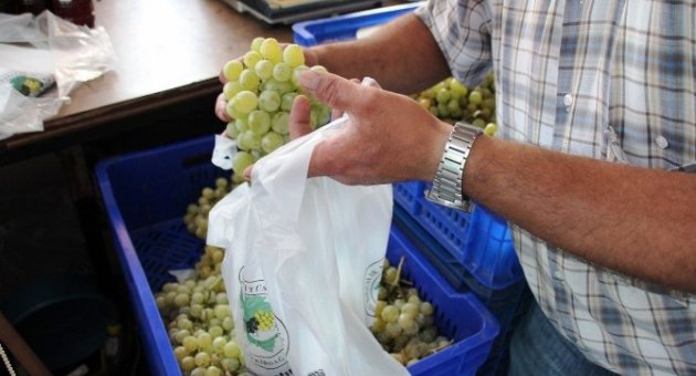 Tekirdağ Bağcılık Araştırma İstasyonu’nun Çekirdeksiz Ve Çavuş Üzümü Tezgahta