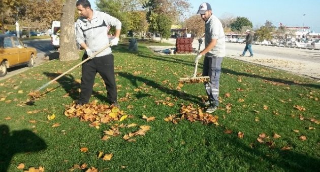 Tekirdağ Büyükşehir Belediyesi’nden Yaprak Operasyonu