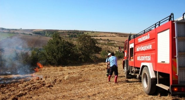 Tekirdağ’da Anız Yangını Korkuttu