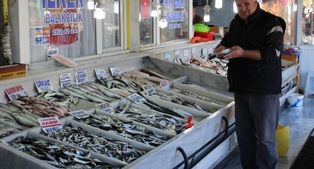 Tekirdağ’da Balık Bereketi