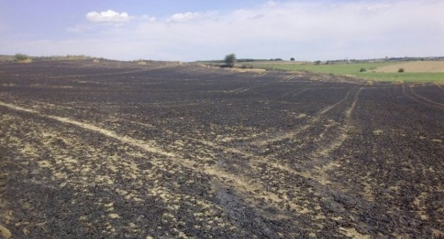 Tekirdağ’da Buğday Tarlasında Büyük Yangın
