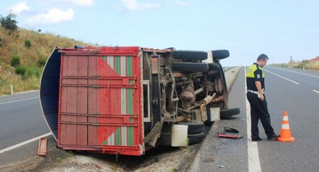 Tekirdağ’da Büyükbaş Yüklü Kamyon Devrildi