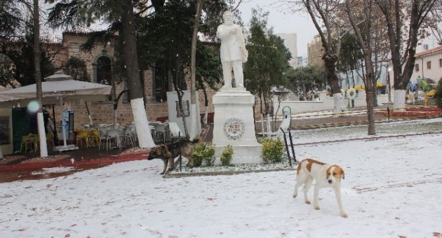 Tekirdağ’da Kar Yağışı Başladı