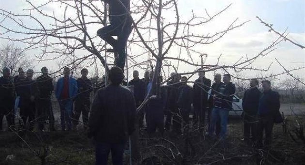 Tekirdağ’da Meyvecilik Eğitimi Düzenledi