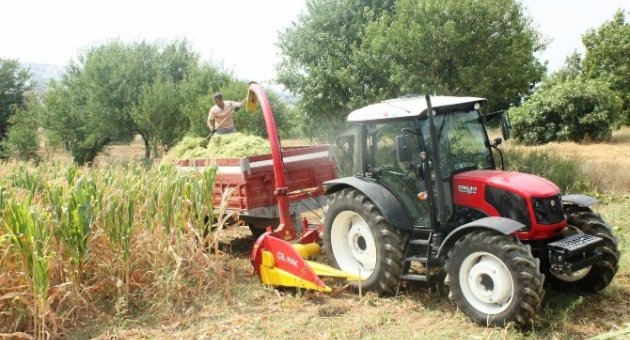 Tekirdağ’da Silaj Hasadı Başladı
