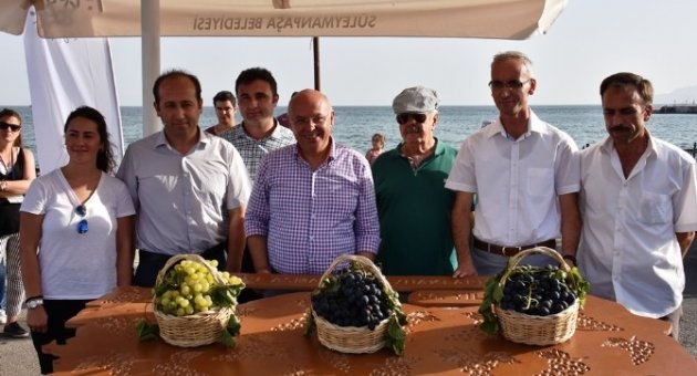 Tekirdağ’ın En Güzel Üzümleri Seçildi