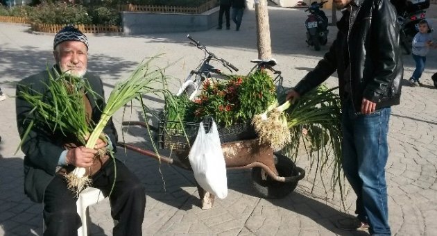 Tekirdağ’ın Organik Dedesi