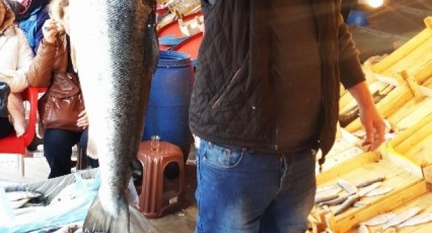 Tezgahtaki Büyük Norveç Somonu İlgi Çekti