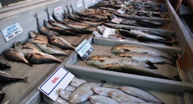 Ticari Amaçlı Su Ürünleri Avcılığını Düzenleyen Tebliğ Yayınlandı