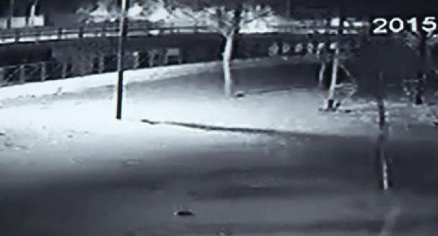 Timsah Arenanın Vincinin Devrilme Anı Kameralara Yansıdı