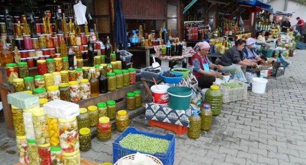 Tirilye’de Yeşil Zeytin Zamanı
