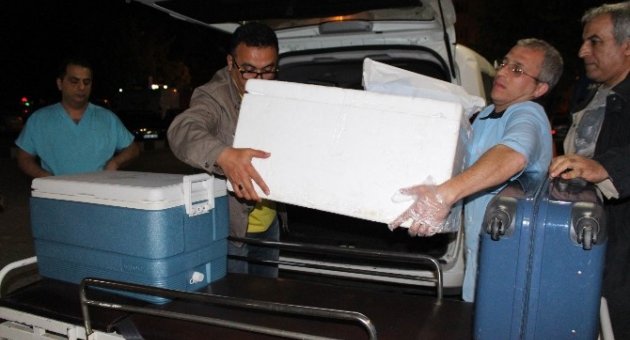 Trafik Kazası Geçiren Vatandaşın Organları 3 Kişiye Hayat Verecek
