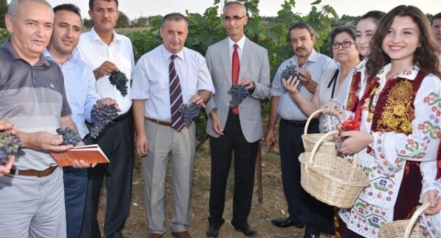 Trakya Bağ Bozumu Ve Ekoloji Festivali Tekirdağ’da Başladı