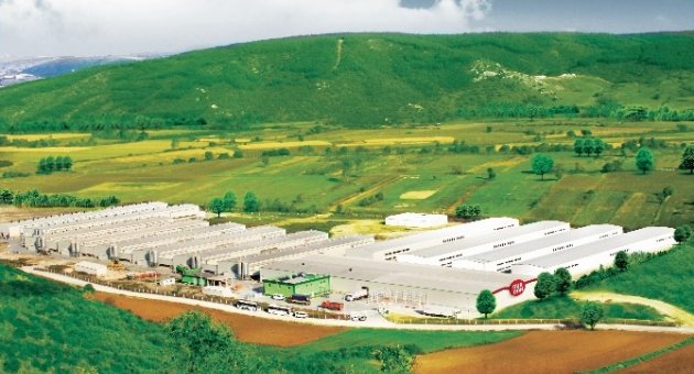 Tüketicilerden “helal Yumurta”ya Büyük İlgi