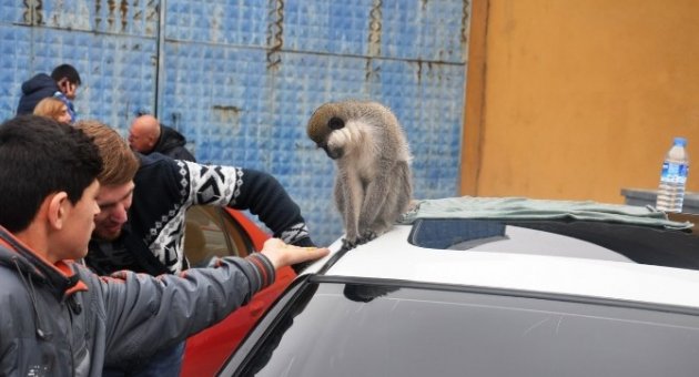 Tuning Fest 2015 Tekirdağ Fuarında Modifiye Araç Tutkunları Bir Araya Geldi