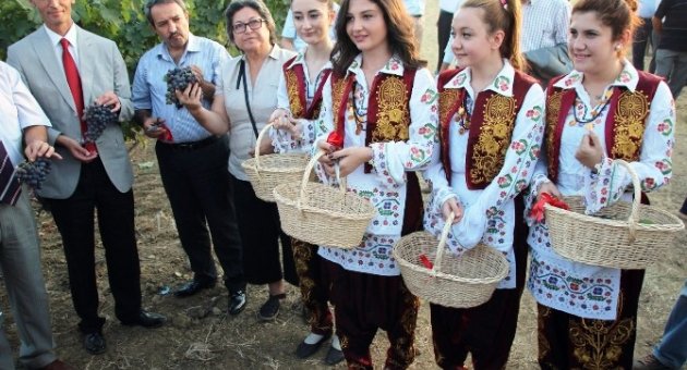 Türkiye Asma Genetik Kaynakları Projesinin 50. Yılı