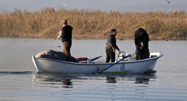 Uluabat Gölündeki Kuşlara Yem Bırakıldı