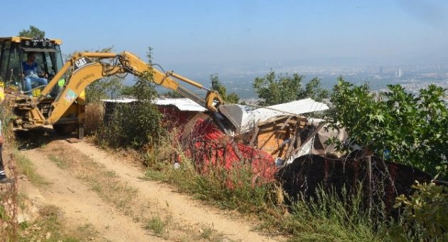 Uludağ Eteklerinde 60 Kaçak Baraka Yıkıldı