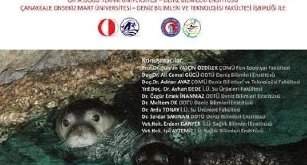 Üniversiteler Akdeniz Fokları İçin Buluşuyor