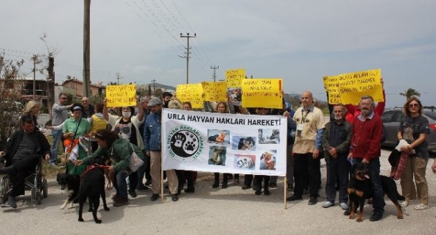 Urla’da Hayvan Katliamı Protesto Edildi
